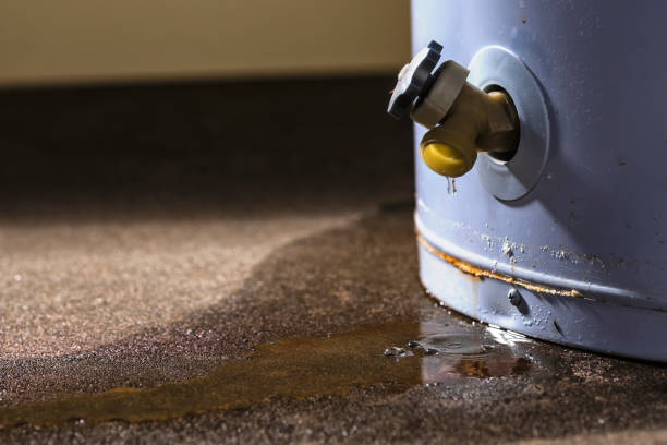 Best Fire Damage Restoration  in Draper, UT