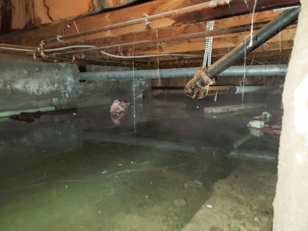Best Commercial water damage restoration  in Draper, UT