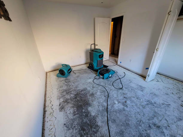 Best Carpet water damage restoration  in Draper, UT