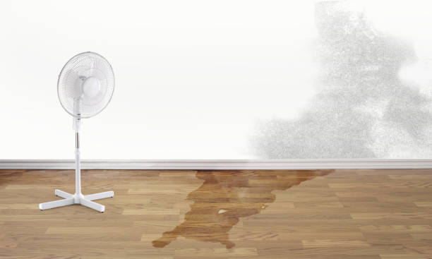 Best Residential water damage restoration  in Draper, UT