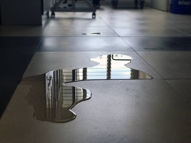 Best Professional water damage repair  in Draper, UT