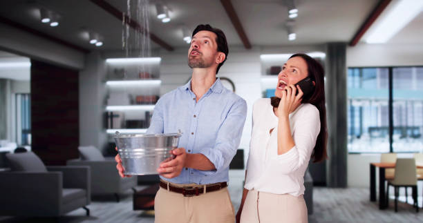 Best Water damage contractors near me  in Draper, UT