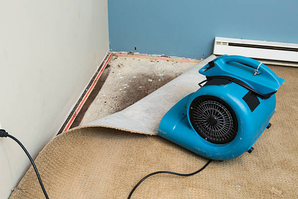 Best Flood damage cleanup  in Draper, UT
